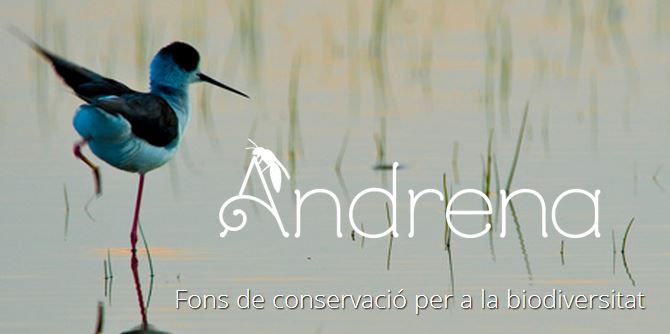 Andrena: primer fondo privado catalán para proteger la biodiversidad