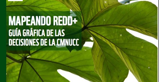 Mapeando REDD+: Guía gráfica de las decisiones de la CMNUCC es el título elegido para la edición en español (también está disponible en formato a dos páginas y en blanco y negro, así como en francés), y recoge los pasos que deben darse para la implementación efectiva de las iniciativas enmarcadas en el programa de las Naciones Unidas para la Reducción de las Emisiones por Deforestación y Degradación (REDD+).